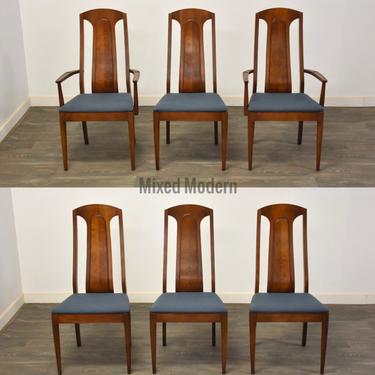 Mid Century Walnut and Burl Dining Chairs - Set of 6 