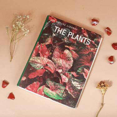 Vintage Reclaimed Repurposed Handbound Book Watercolor Sketchbook - The Plants Life Nature Library 