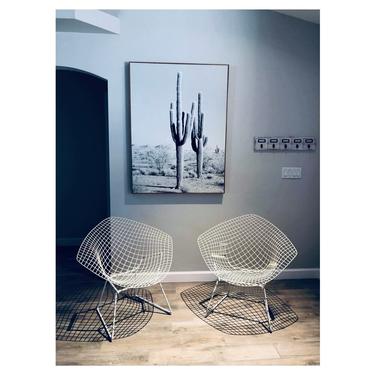 (AVAILABLE) Authentic Pair of 1960s Bertoia Diamond Chairs for Knoll