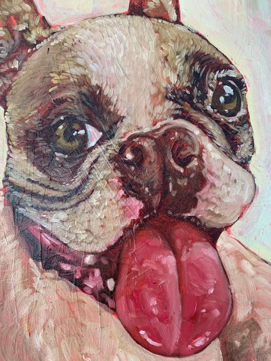 French Bulldog on Canvas 