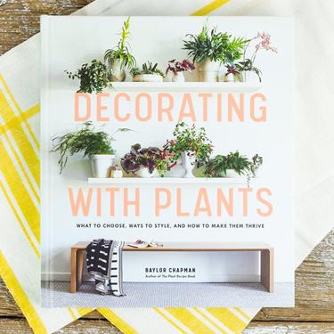 Decorating With Plants : What to Choose, Ways to Style, and How to Make Them Thrive