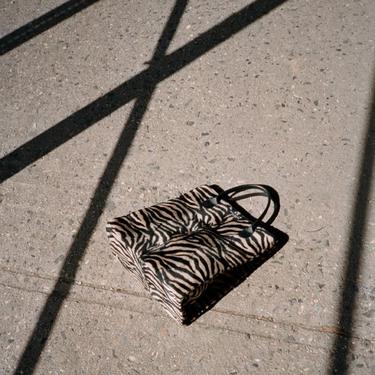 Kate Spade Zebra Print Bag
