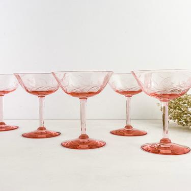 Set of 5 Vintage Floral Leaf Etched Pink Champagne Coupes, Mid Century Pink Stemmed Glasses, Vintage Stemware 