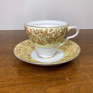 Vintage Rosina China Tea Cup and Saucer 5059 Yellow Red Berries Brown Flowers 
