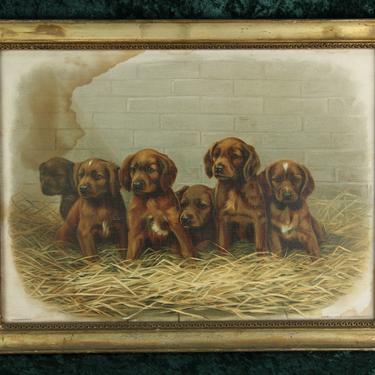 Folky Print of Dog Puppies 