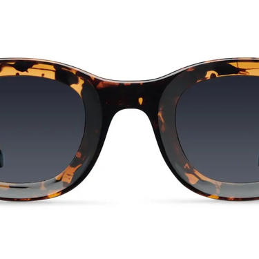 Gasira Tigris Carbon Sunglasses