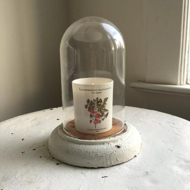 Vintage wooden base with glass dome 