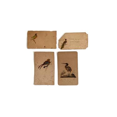1890's Handmade Cards From Bird Feathers- Lot of 4 