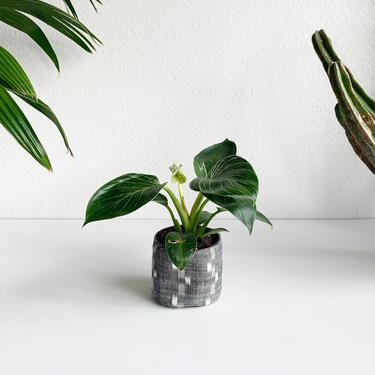 4" Bucket Planter Made from Deadstock Grey Ikat Fabric