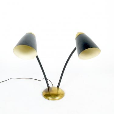 Double Gooseneck 1960s Lamp