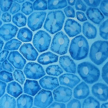 Blue Epithelial Cells - original watercolor painting - biology art 