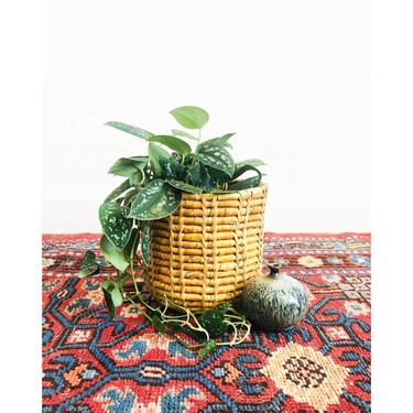 Vintage Coil Basket / Plant Basket 