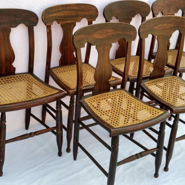 Six Antique Rosewood Grained Federal Caned Seat Chairs. 