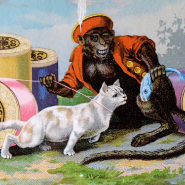 Antique JP Coats Cotton Thread Advertisement - NOT a Reprint - Custom Framed Antique Trade Card - Antique Monkey Art 