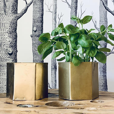 Hexagon Planter | Hexagon Plant Pot | 4 inch Planter | 4 inch Indoor Pot | Herb Garden Planter | Brass Planter | Small Brass Pot 
