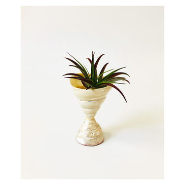 Vintage Shell Vase 