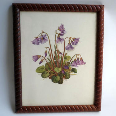 Charming Virginia Bluebells / Harebells / Vintage Wildflowers / Signed AmTR / Framed 