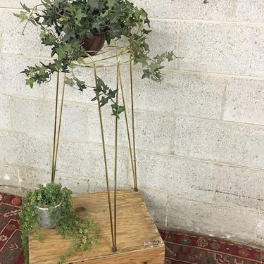 Vintage Plant Stand Retro 1990s Tall Gold Metal Wire Frame with Round Top and Pointed MCM Legs + Indoor Outdoor + Plants + Patio Home Decor 