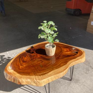 Unique Walnut Live Coffee Table with Hairpin Legs 