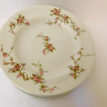 8 PC Theodore Haviland- Bread or Salad Plate Set  Roses -Limoges France  Excellent Condition- No chips 