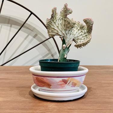 Shallow Ceramic Planter| Centerpiece Bowl | Glazed Display Pottery | Pot with Plate | Round Container Decor Bowl | Shallow Succulent Pottery 