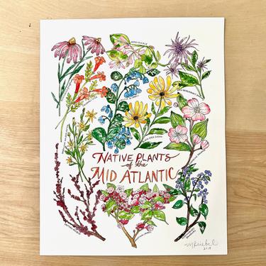 Native Plants of the Mid-Atlantic Original Watercolor Painting