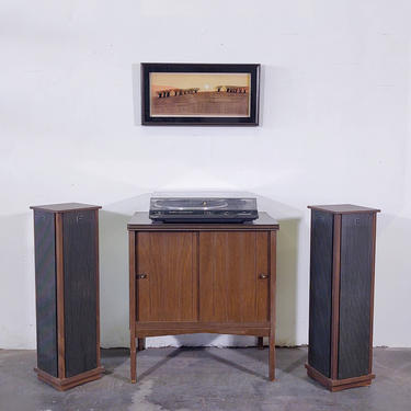 Wooden Record Stand / Cabinet with Laminate Wood Top 