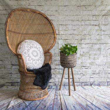 SHIPPING NOT FREE! Medium Size Vintage Wicker Peacock Chair/Fan Back Chair 