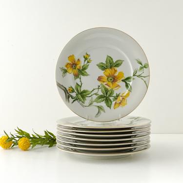 Set of 4 Meito Salad Lunch Plates, Meito Norleans Sun Glory Dishes, Yellow Floral Vintage China Tableware 