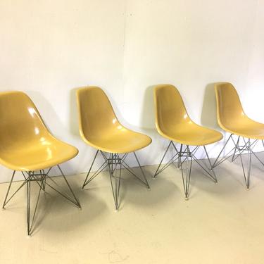 Eames  Eiffel Base Fiberglass Shell Chairs for Herman Miller 