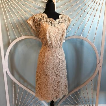 Vintage 1950s Peach Lace Dress from Bullocks Los Angeles - Volup XL 