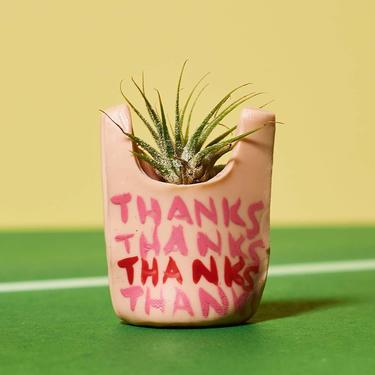 Thanks Bag Mini Succulent Planter