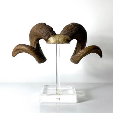 Vintage Rams Horn Sculpture on Lucite Base 1970s 