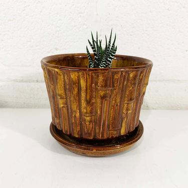 True Vintage McCoy Plant Pot Pottery Brown Amber Bamboo Planter Brush Attached Saucer Mid-Century Pot Made in the USA 1940s 40s MCM Golden 