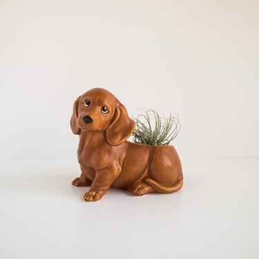 Vintage Dog Planter | Dachshund Dog Succulent Planter Pot | Napco Ceramic Dog Pot | Air Plant Holder | Dachshund Lover Gift 