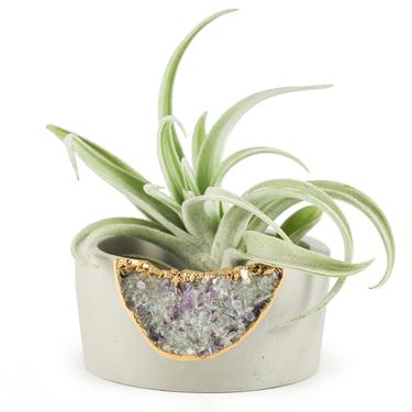 Geode Purple Planter | Small Succulent Planter | Mini Air Plant Holder | Cactus Pot 