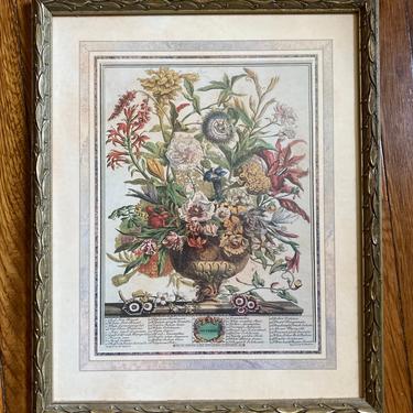 Framed Vintage Botanical Print 