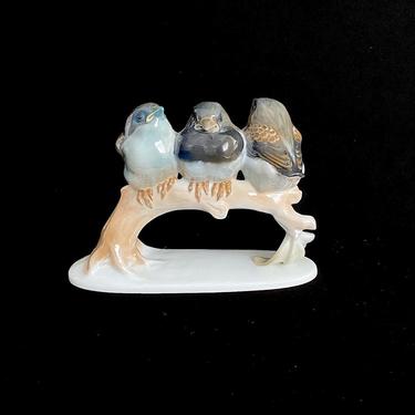 Vintage Fine Rosenthal Selb Porcelain Figurine of 3 Birds Perched on a Branch Kunstabteilung Karl Himelstoss 
