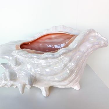 Opalescent Conch Shell