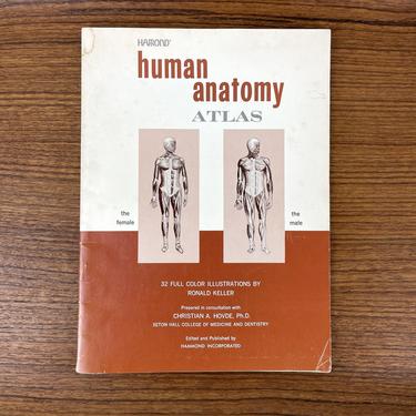Hammond Human Anatomy Atlas - color illustrations - 1960s vintage 