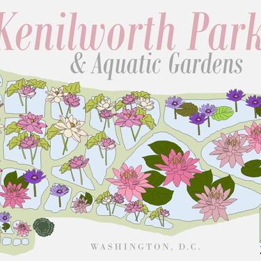 Kenilworth Aquatic Gardens decorative map print 
