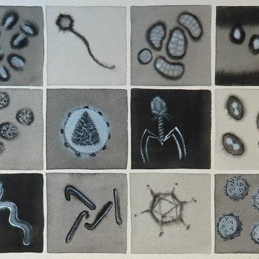 Black and White Viruses - original watercolor painting of viruses - microbiology 