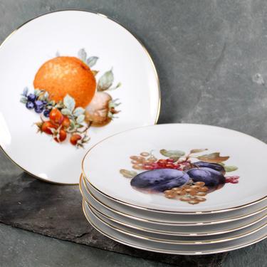 Set of 6 Schumann Arzberg Dessert Plates - Bountiful Fruits - Bavarian Porcelain Plates | FREE SHIPPING 