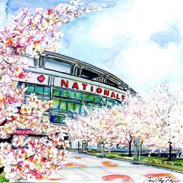 Cherry Blossoms at Washington D.C.’s Nats Stadium by Cris Clapp Logan 