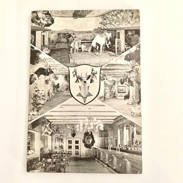 San Antonio's Buckhorn Hall of Horns Postcard 