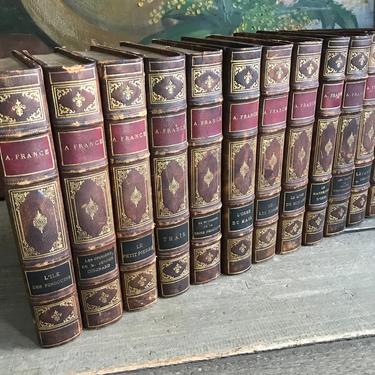 1920s French Leather Bound Book Set of 12, Anatole France, Gilt, French Text, Stacking Display, Chateau Library Decor 