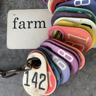 Fun Plastic Colorful Cow Tags