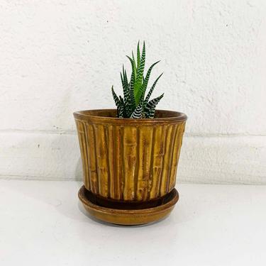 Vintage McCoy Plant Pot Pottery Brown Amber Bamboo Planter Brush Attached Saucer Mid-Century Pot Made in the USA 1940s 40s MCM Golden 